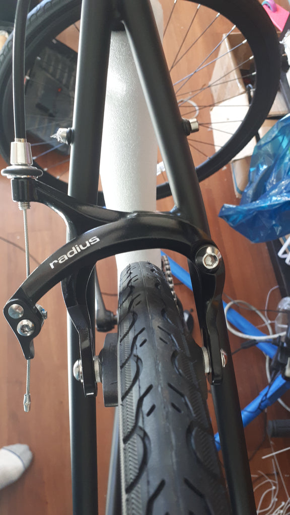 Going to our 5th year